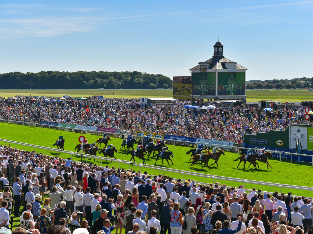 York Racecourse景点图片