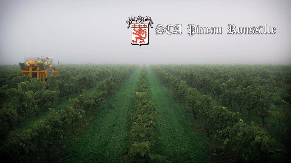 Cognac & Pineau Roussille景点图片
