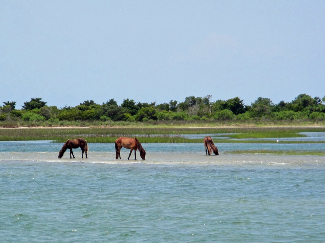 Cedar Island National Wildlife Refuge景点图片