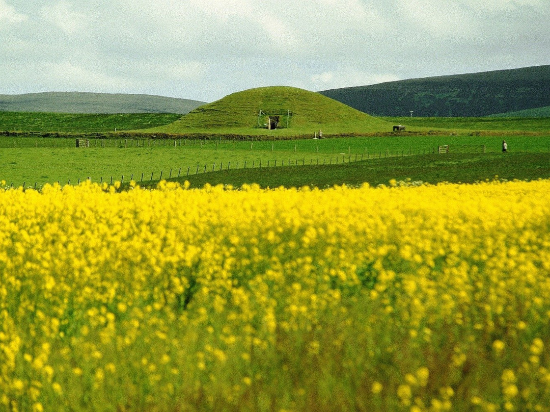null-Stenness