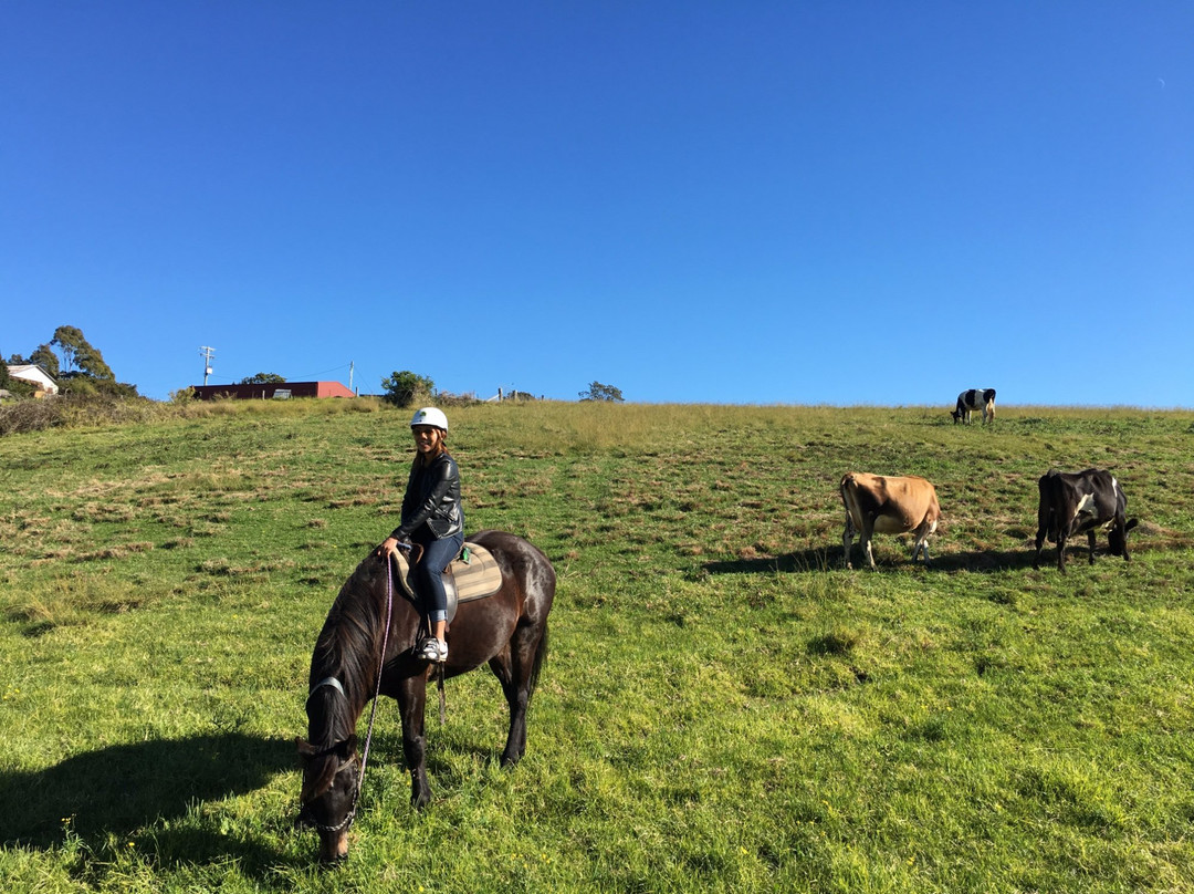 Wolumla Horse Riding Adventures景点图片
