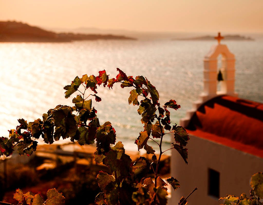 Guide me in Greece Tours景点图片