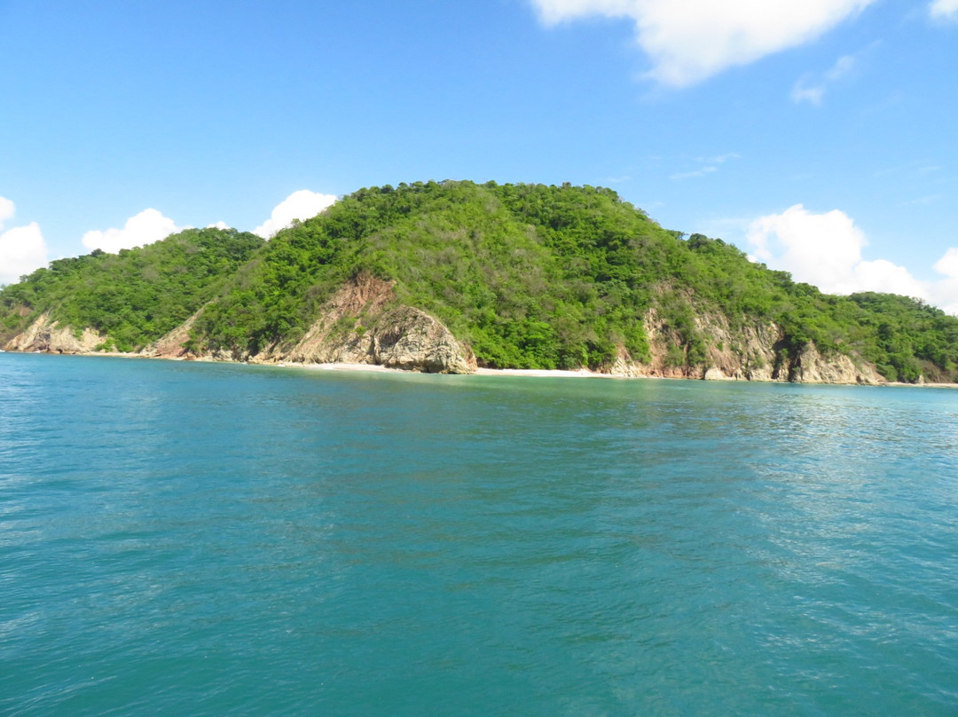 Playa Tortuga旅游攻略图片