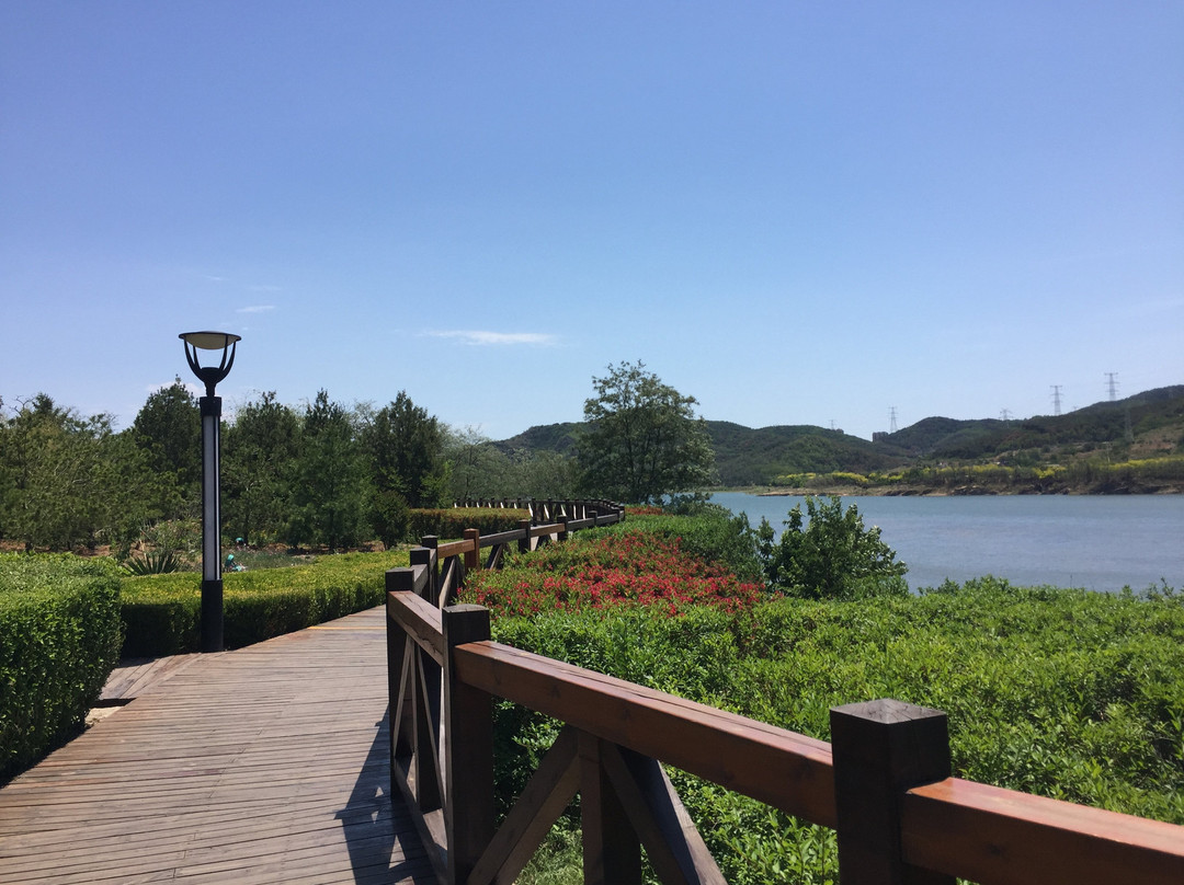 大连西郊森林公园-大连市必去景点