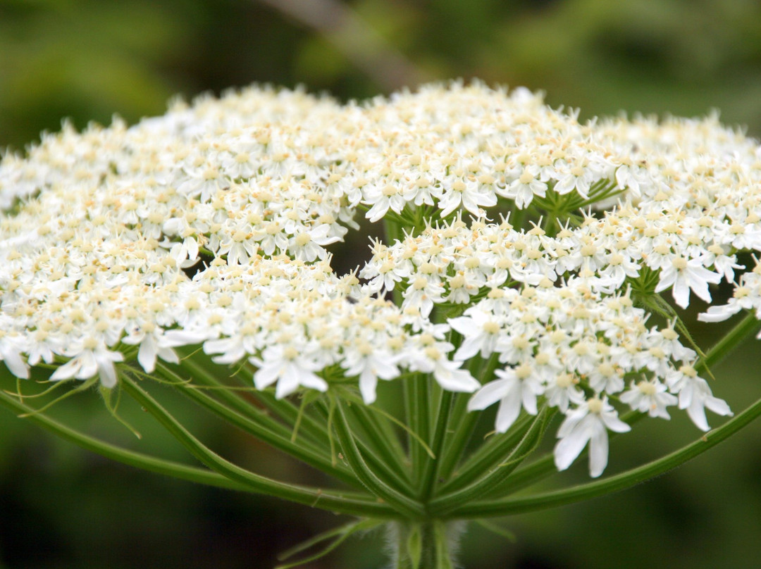 Siletz Bay National Wildlife Refuge-林肯城必去景点