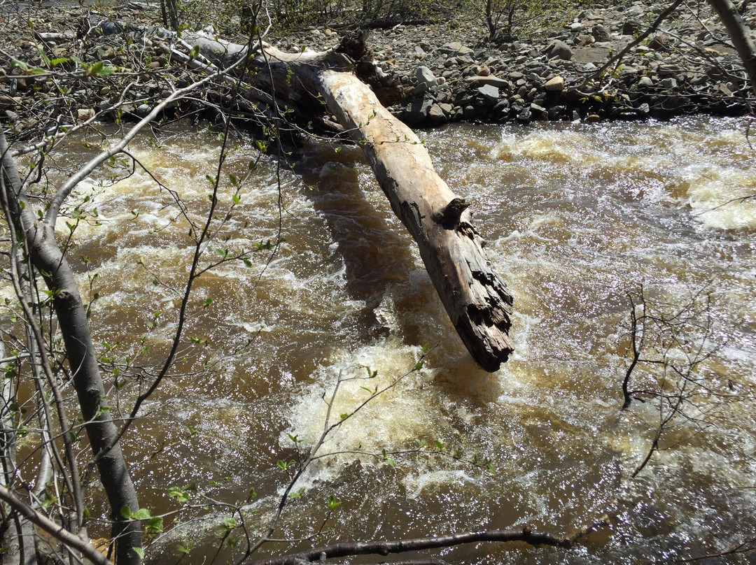 Bergeron Falls-Tumbler Ridge必去景点