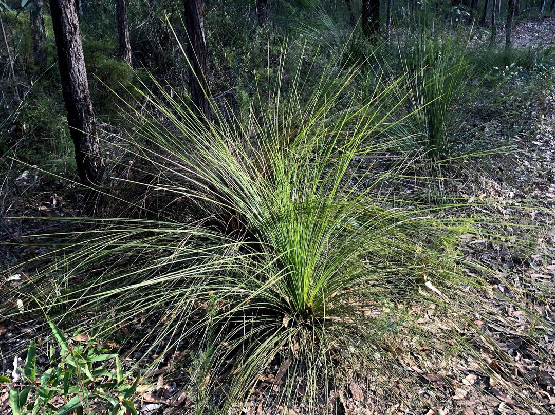 Warrimoo Lookout-Warrimoo必去景点