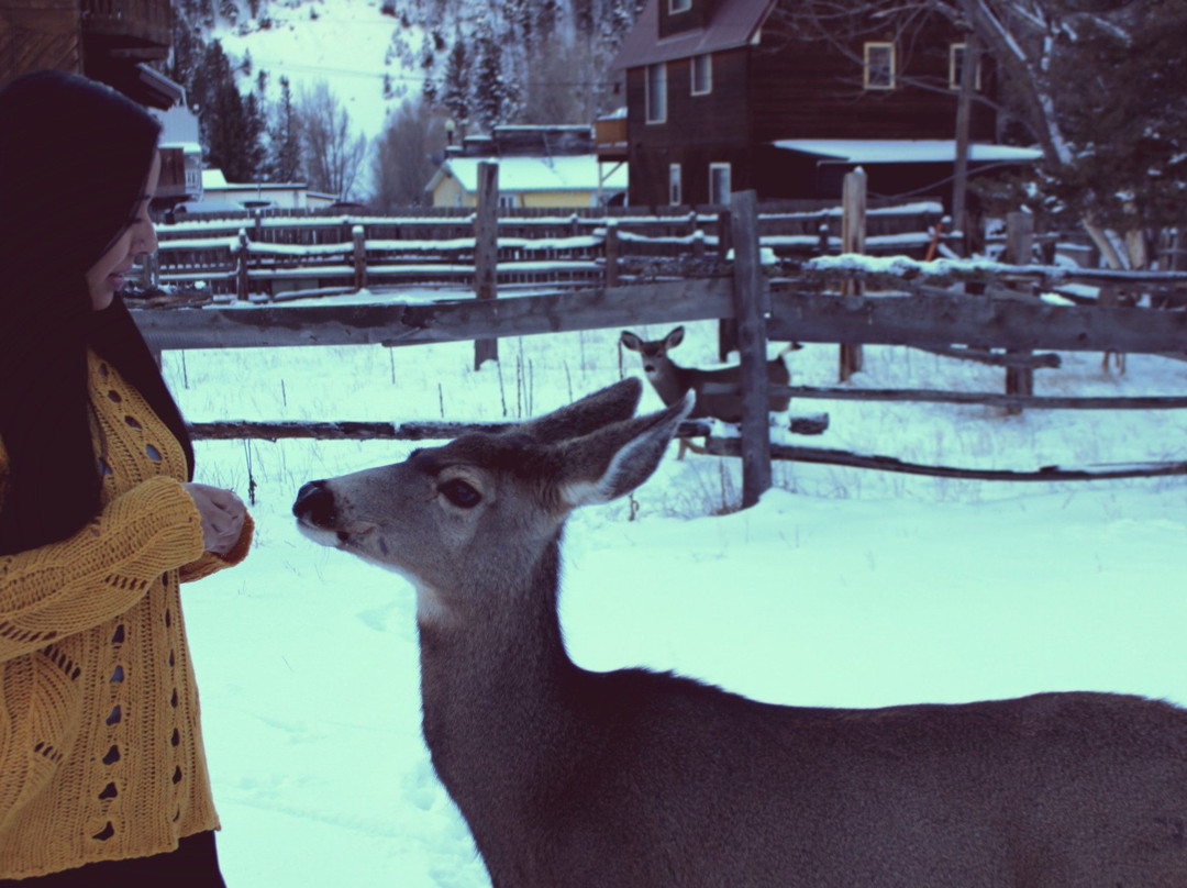 The Hideaway Shoppe-红河必去景点