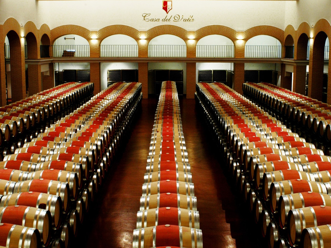 Bodegas y Vinedos Casa del Valle