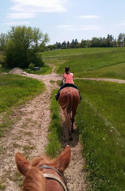 Dan Patch Stables-日内瓦湖必去景点