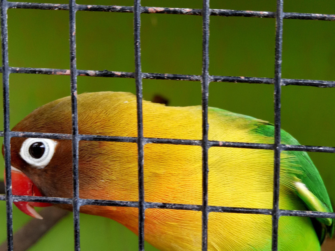 Taman Wisata Studi Lingkungan-庞越必去景点