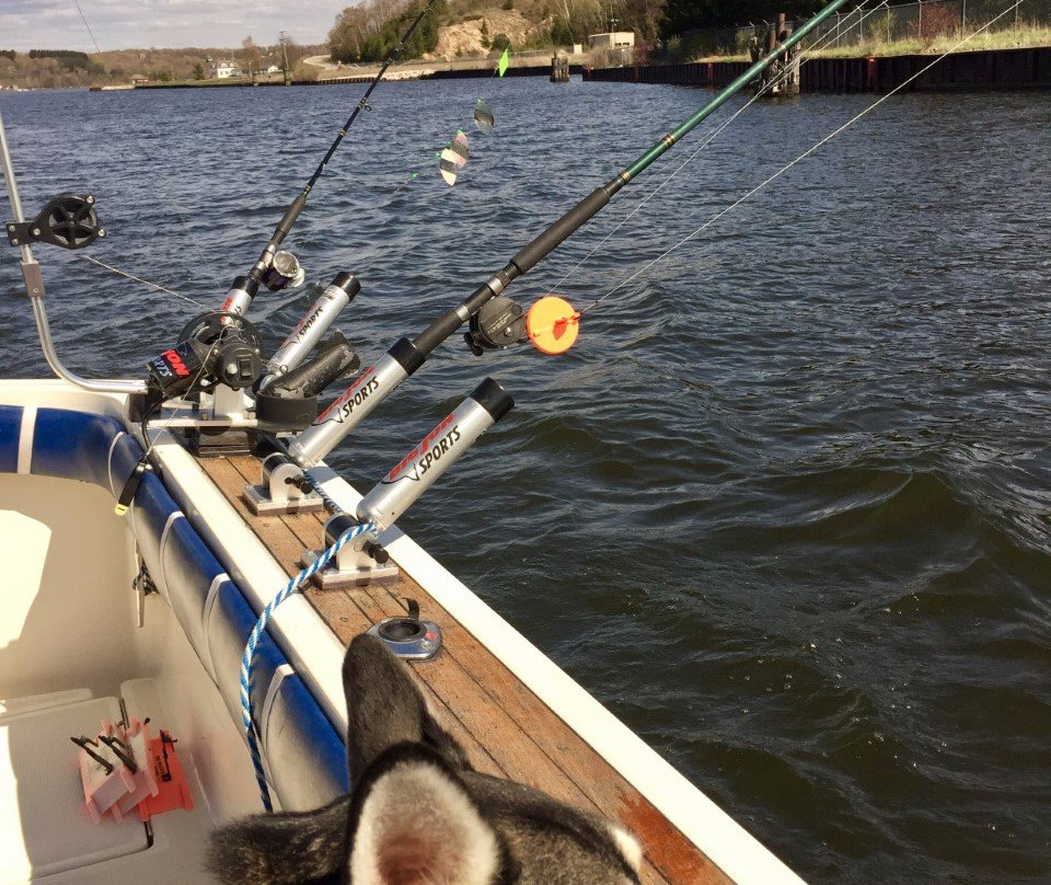 Tiny Bubbles Sport Fishing Charters景点图片