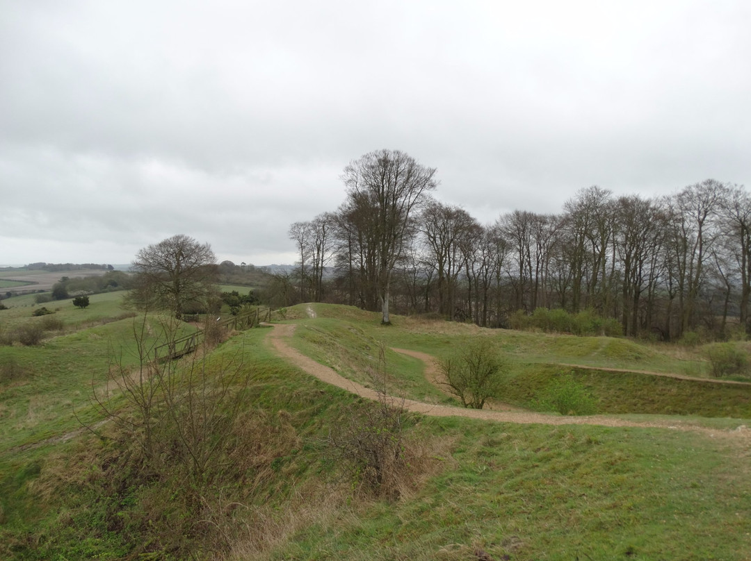 Danebury Iron Age Hill Fort景点图片