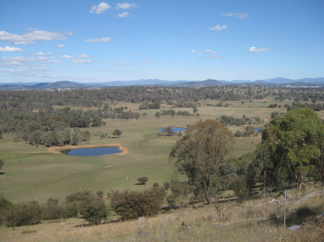 One Tree Hill Lookout Walk (Centenary Trail)景点图片