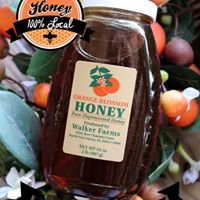 Joshua Citrus-阿卡迪亚必去景点