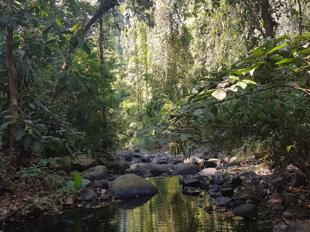 Jungle Environment Survival Training (JEST) Camp-苏比克湾自由贸易区必去景点
