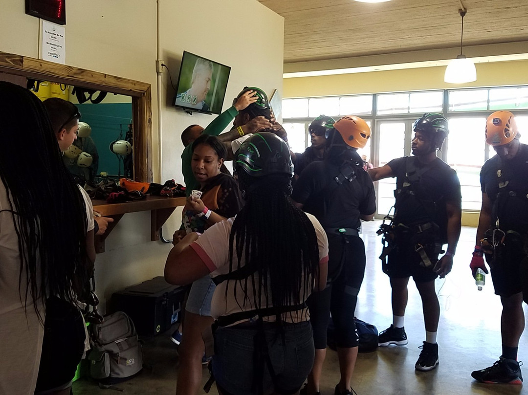 Zipline Tours in Puerto Rico景点图片