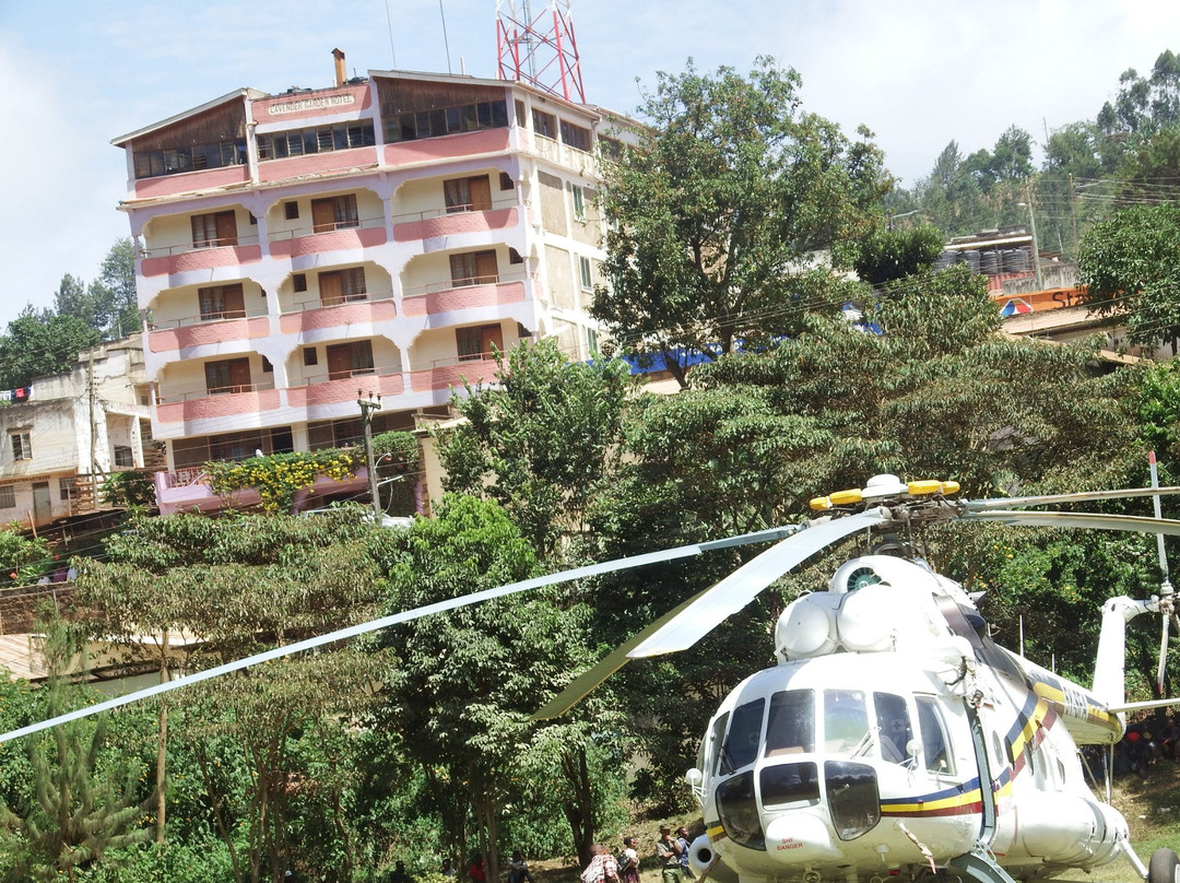 Lavender Garden Hotel主图