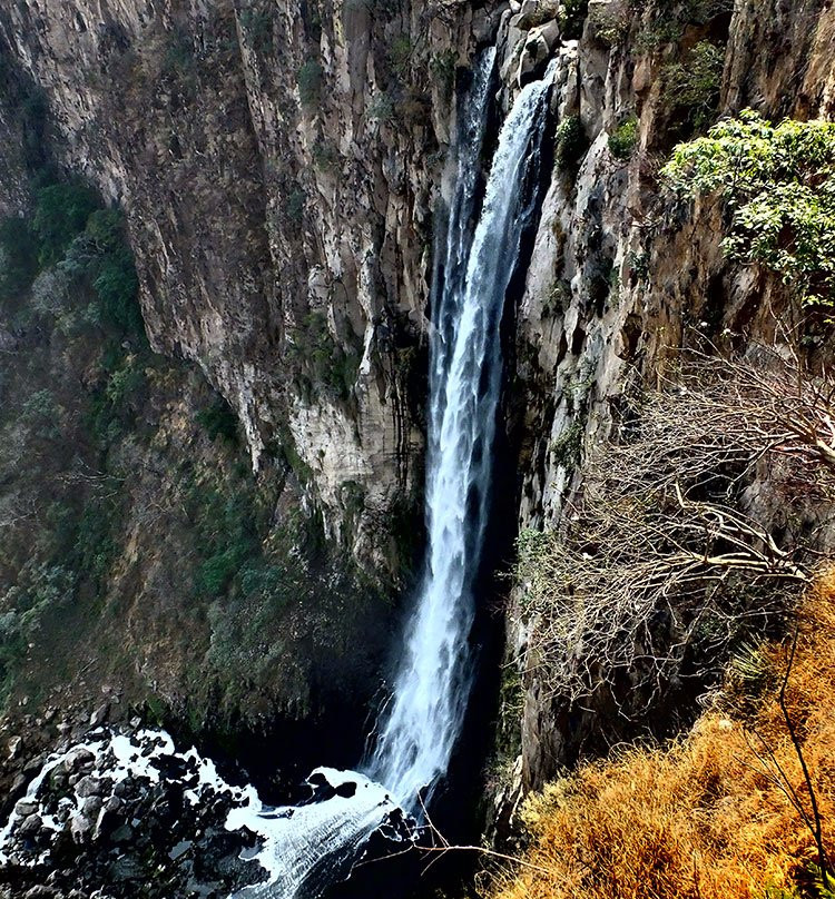 Mirador Park景点图片