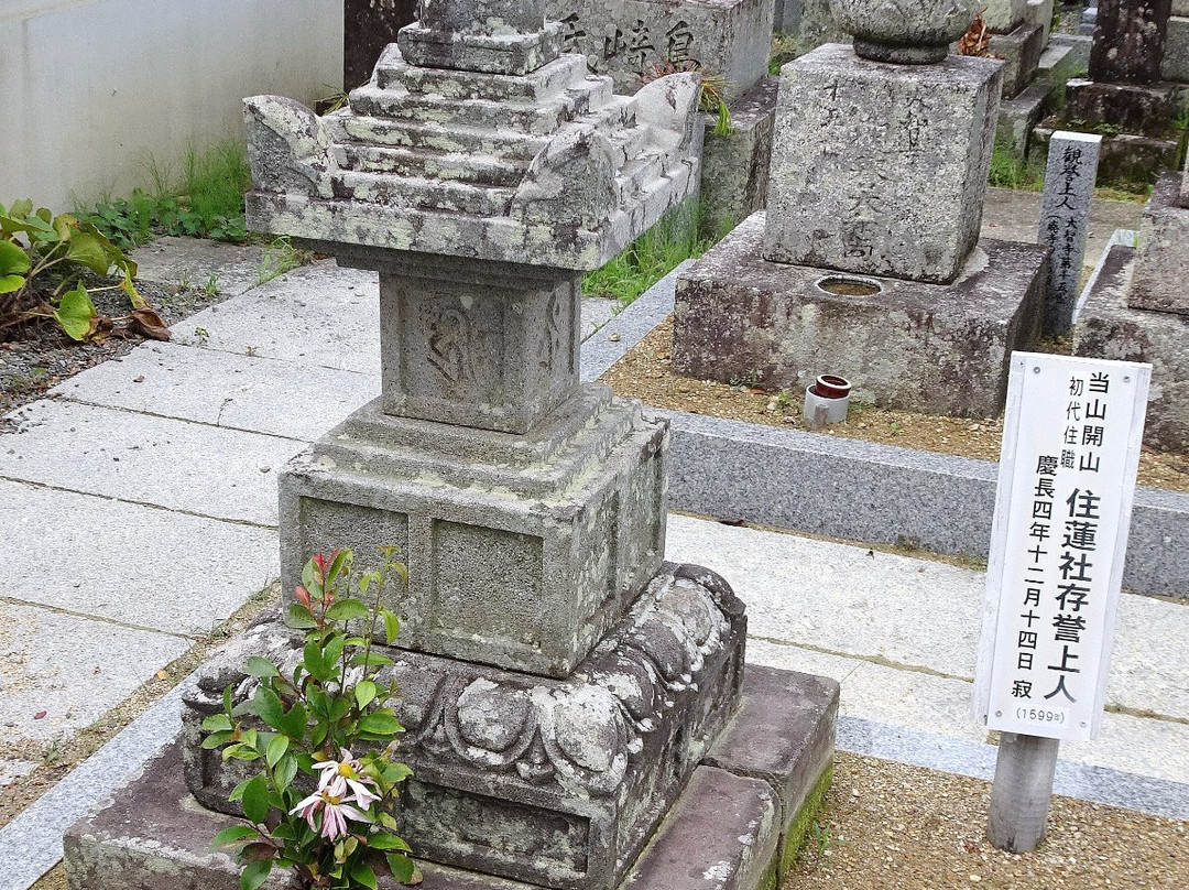 Horin-ji Temple-御坊市必去景点