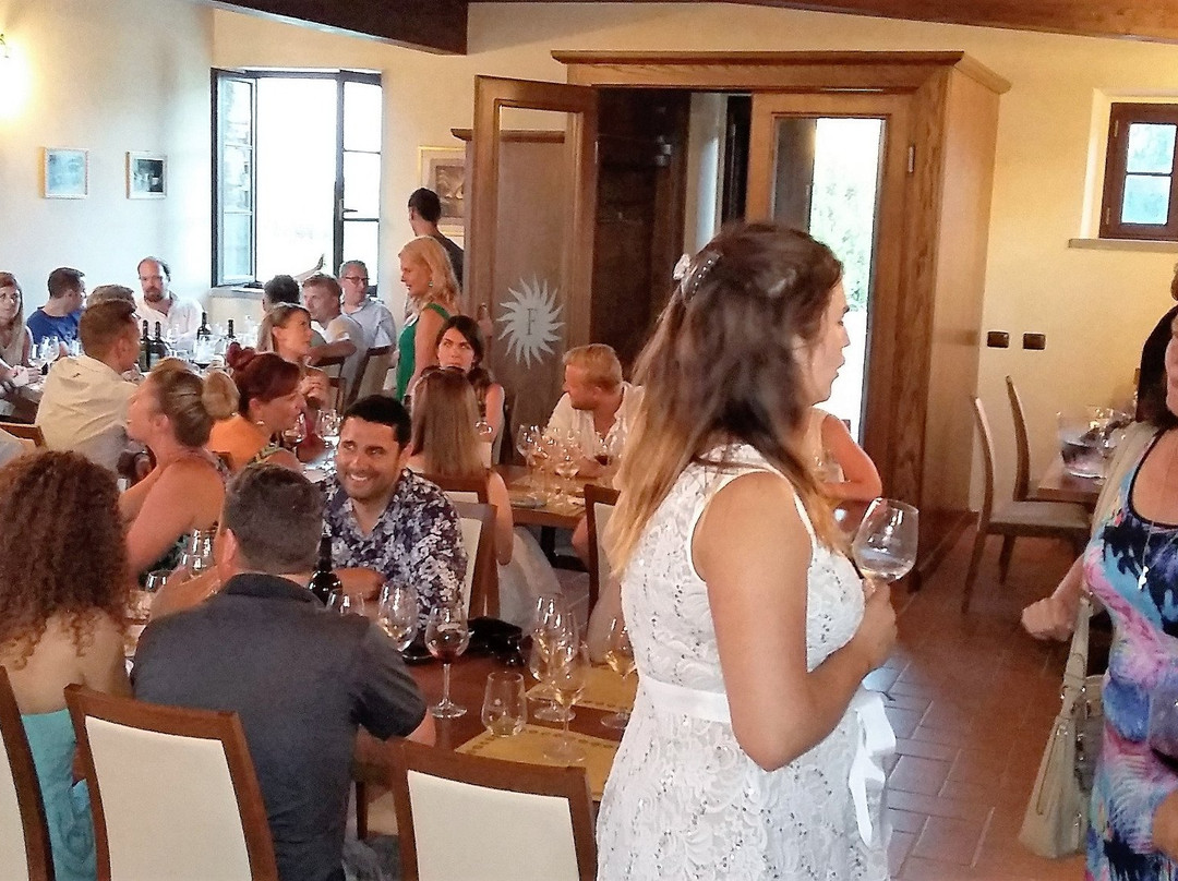 Azienda Vinicola Baia Del Sole - Federici景点图片