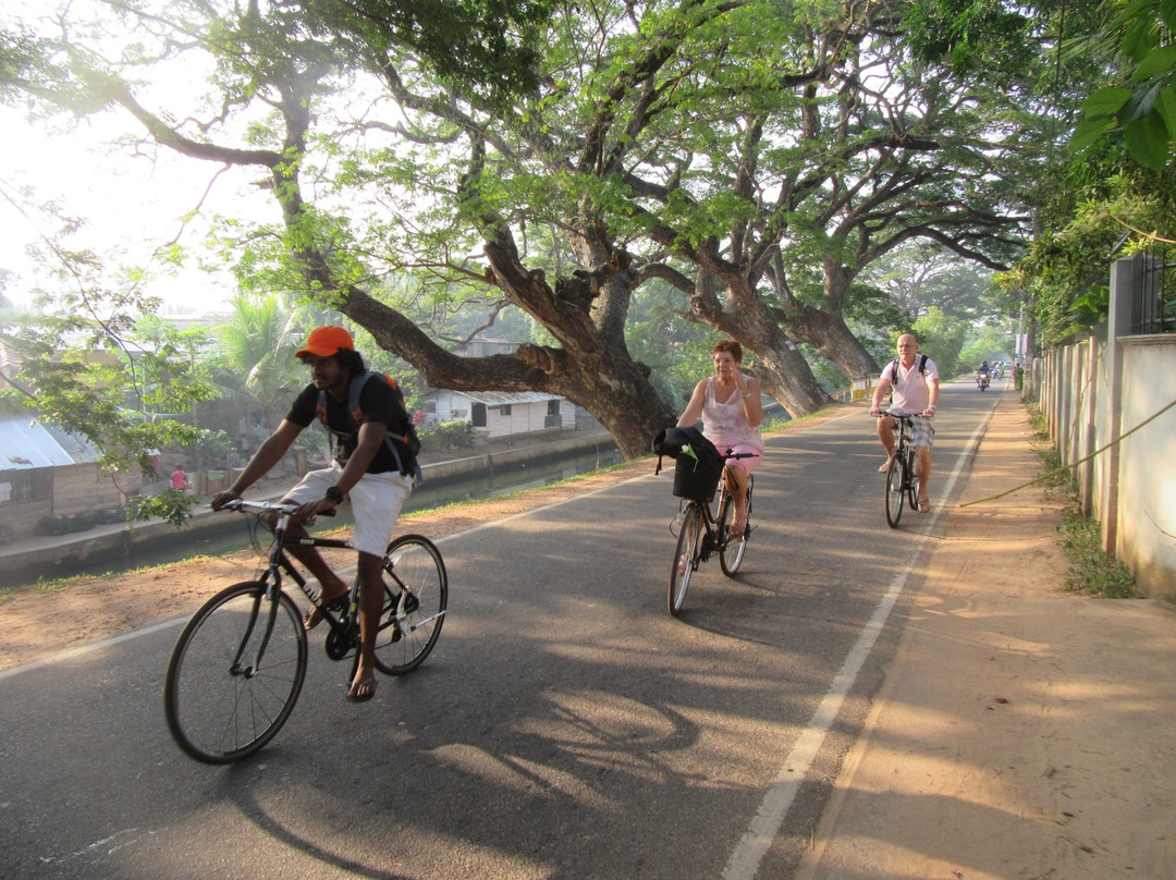 Enviro Bicycle Tours景点图片