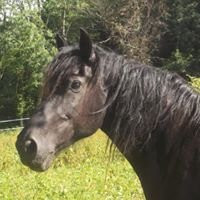 L'Ecrin de Brierat-Saint-Priest-la-Prugne必去景点