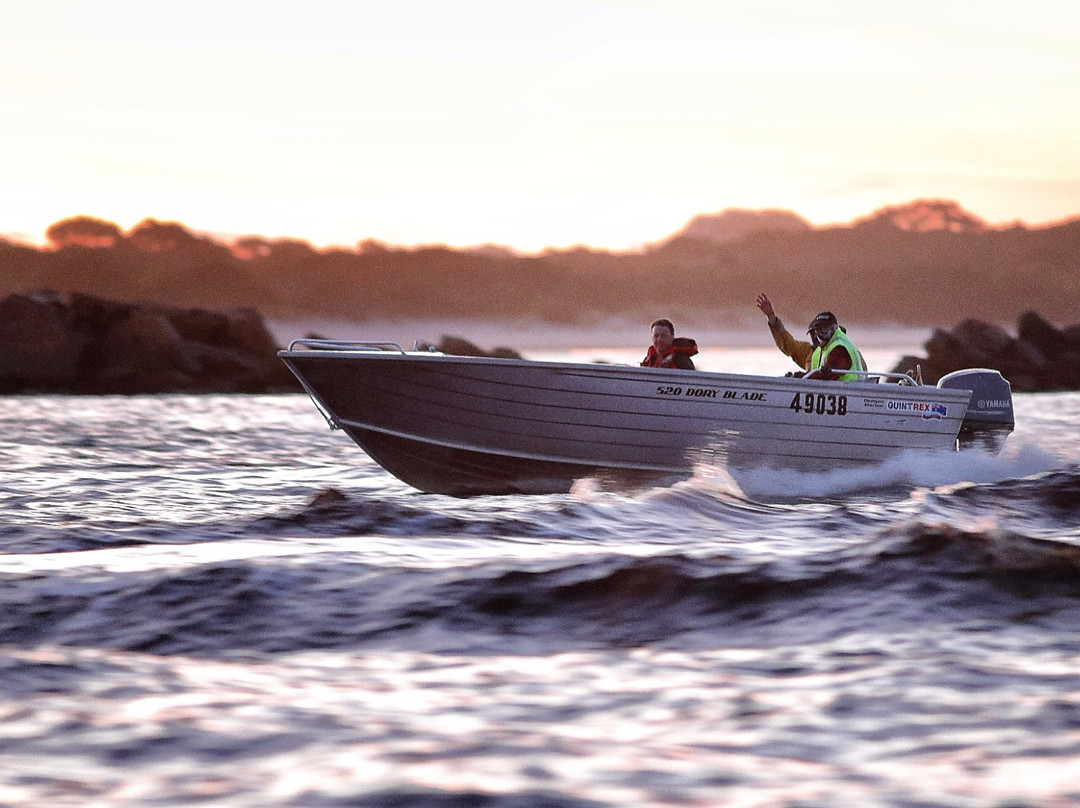 Bonnet Island Experience-斯特拉恩必去景点