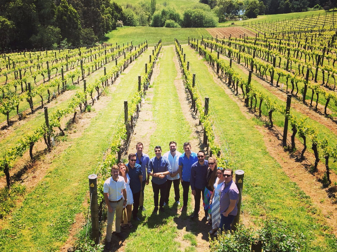 Estate Wine Tours景点图片