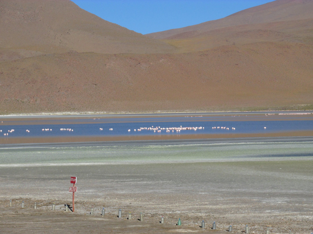 Laguna Hedionda景点图片