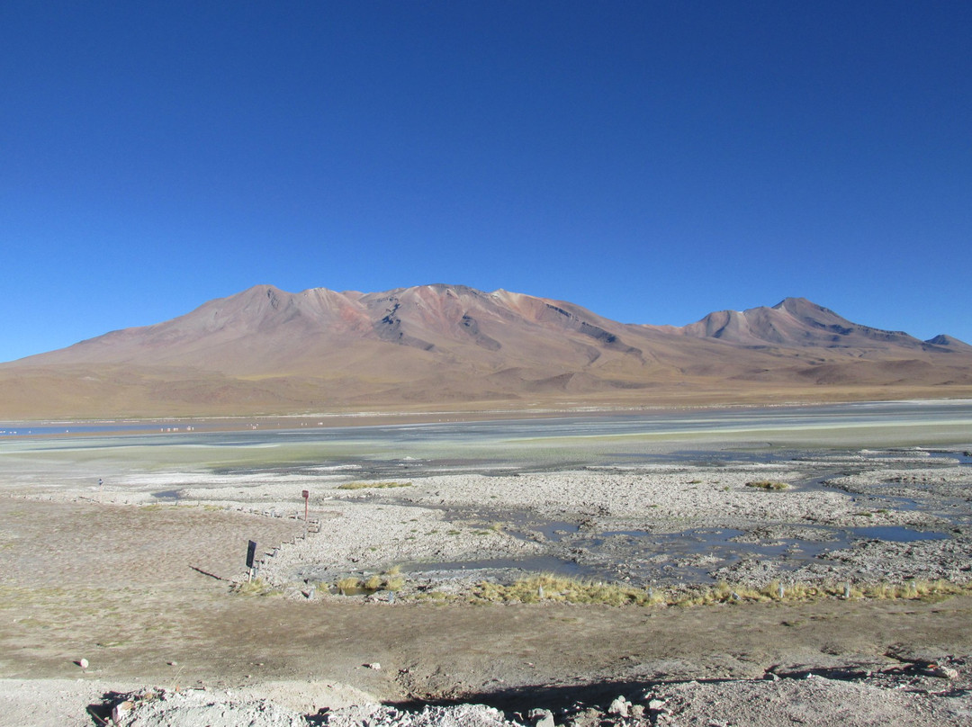 Laguna Hedionda景点图片