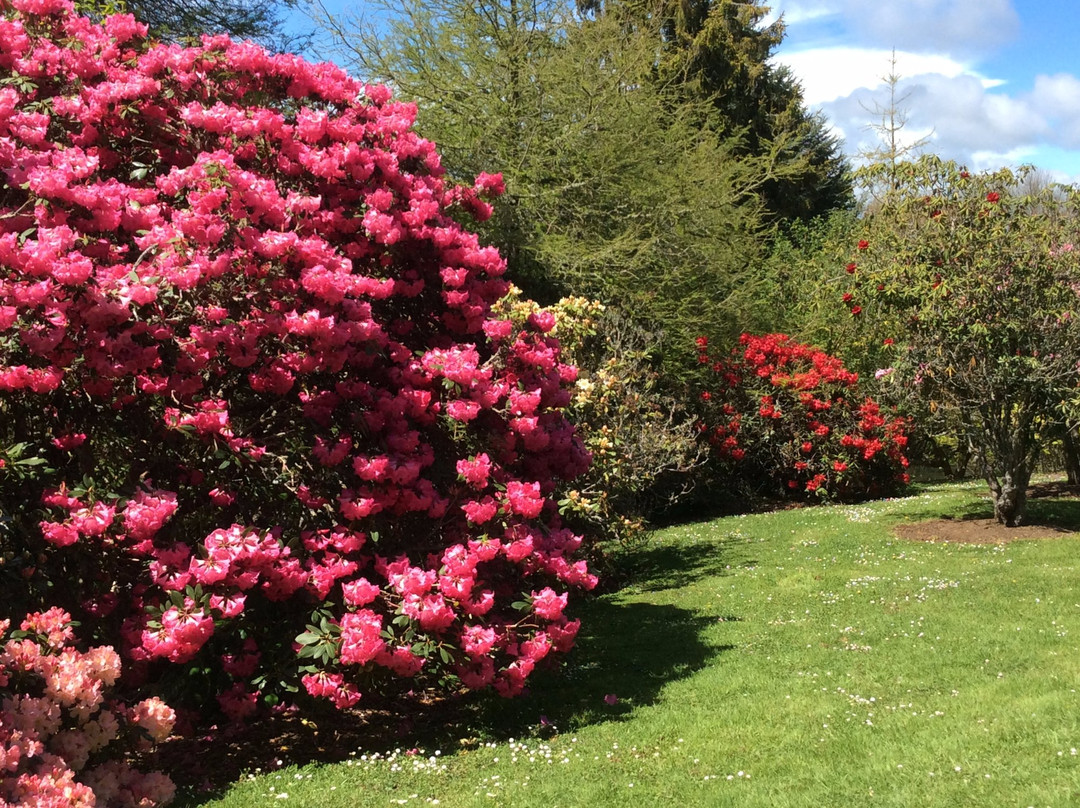 Heritage Park Rhododendron Gardens景点图片