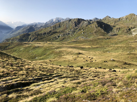 Mont-Rouge-Veysonnaz必去景点