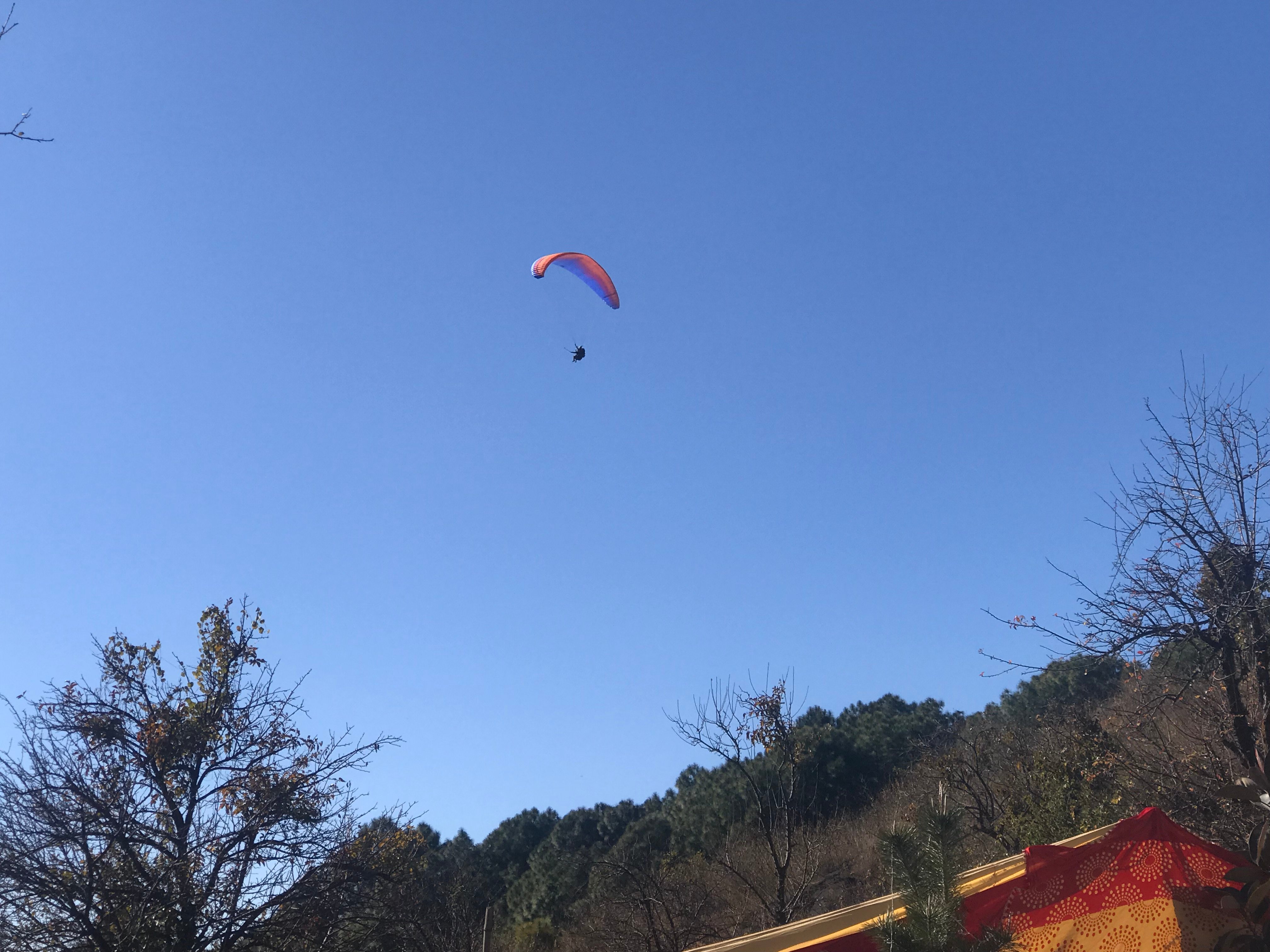 Regenta Resort, Exotica Dharamshala on Hilltop-泳池