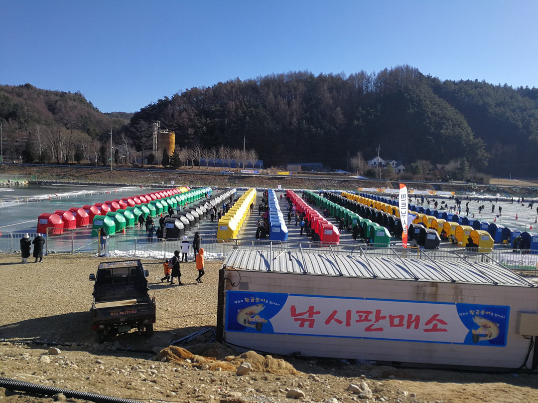 Pyeongchang Trout Festival景点图片