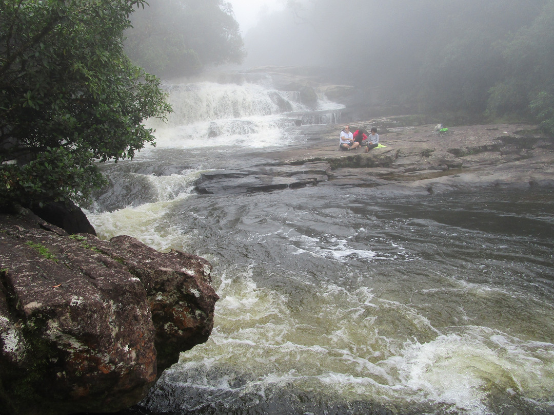Cachoeira Bracui景点图片