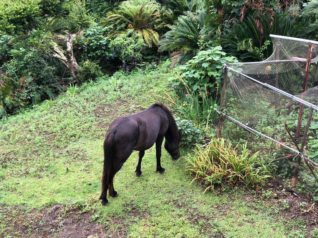 Toimisaki Kokumin Shukusha主图