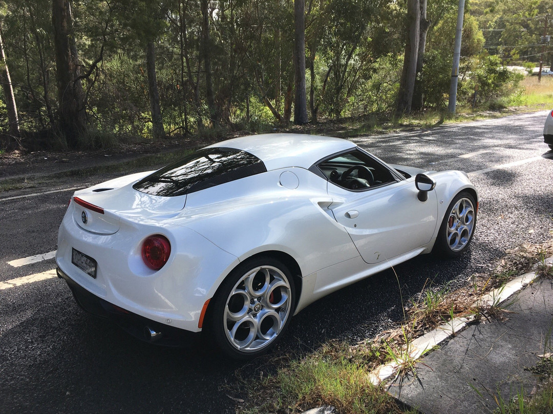 Sports Car World景点图片