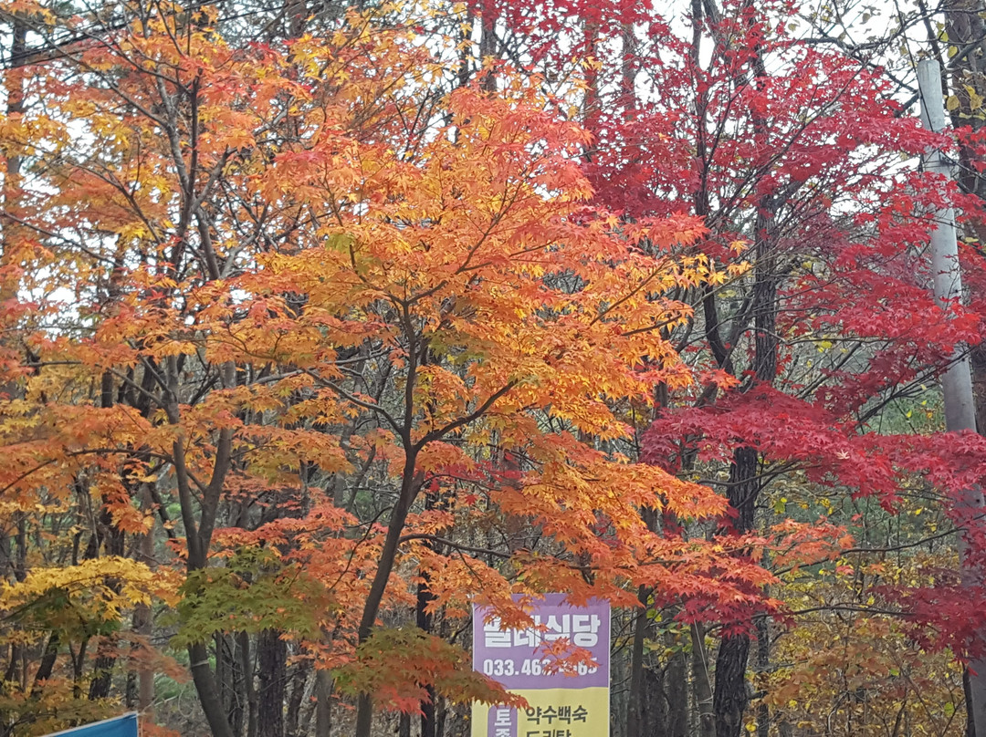 Pilrye Mineral Spring-麟蹄郡必去景点