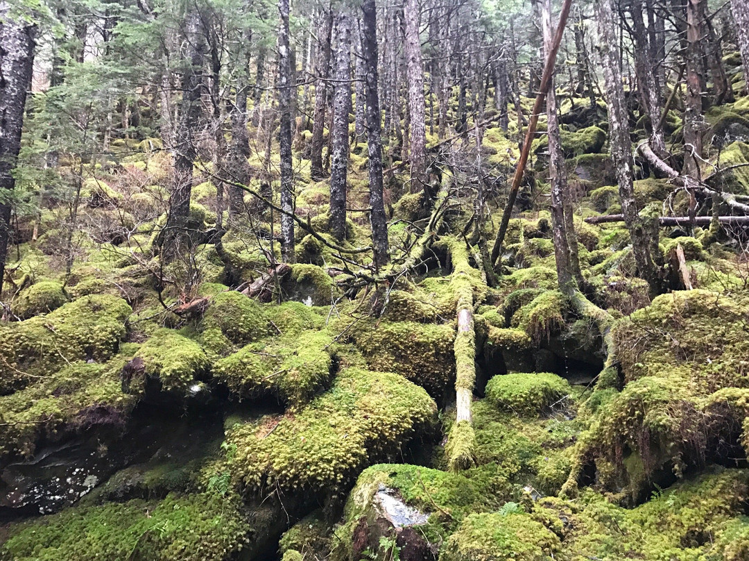 Perseverance National Recreation Trail-朱诺必去景点