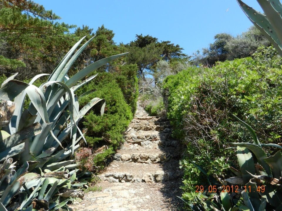 Faro di Giannutri景点图片