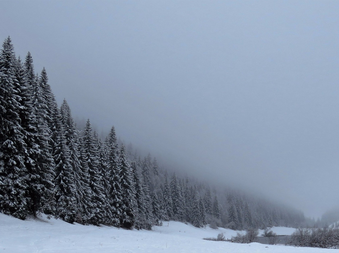 Réserve Naturelle de la Haute Chaîne du Jura-Gex必去景点