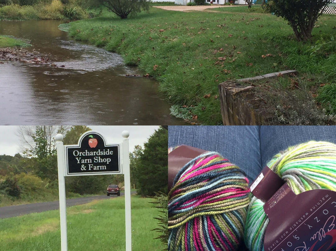 Orchardside Yarn Shop-Raphine必去景点