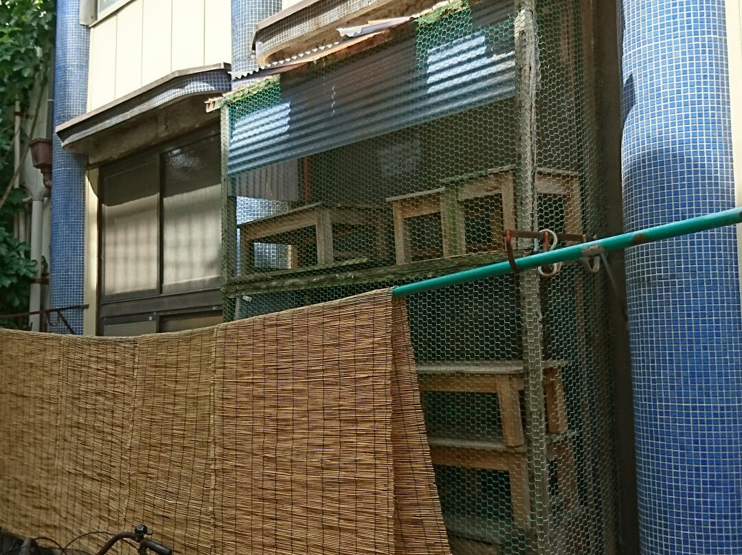 Hatonomachidori Shopping Street-Mukou-jima必去景点