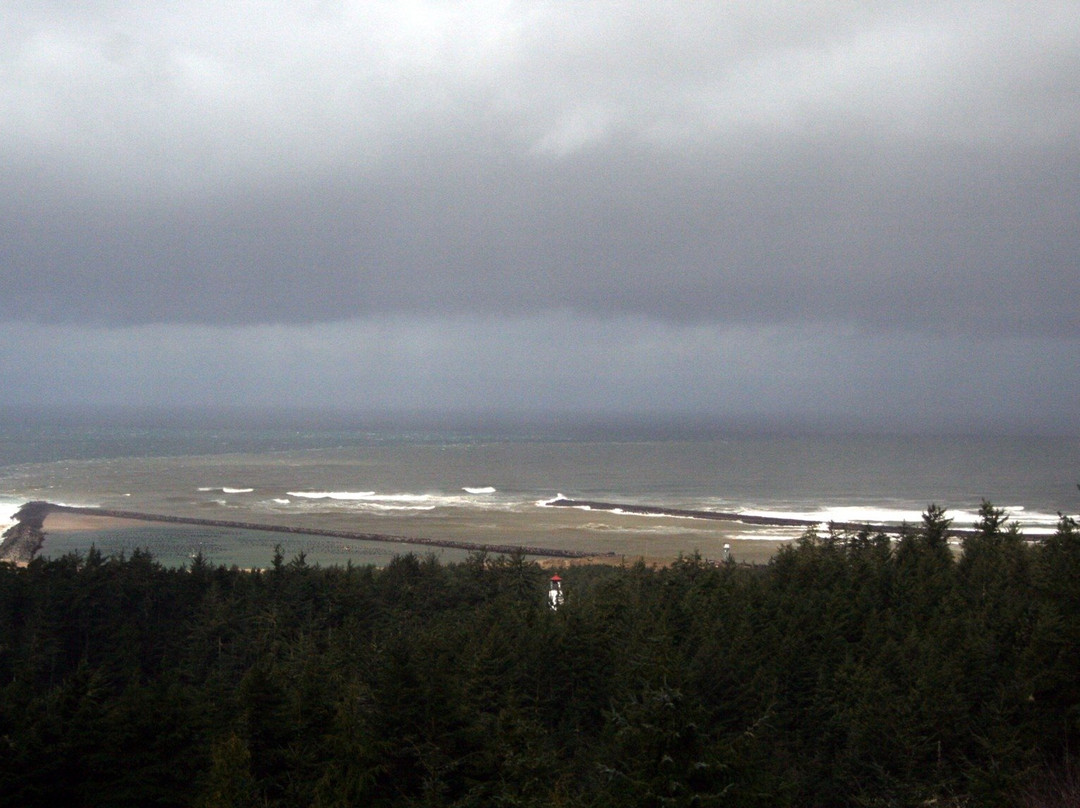 Umpqua Triangle Oysters-Winchester Bay必去景点