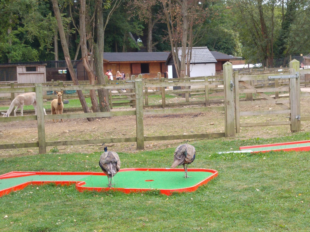 Cassiobury Farm and Fishery景点图片