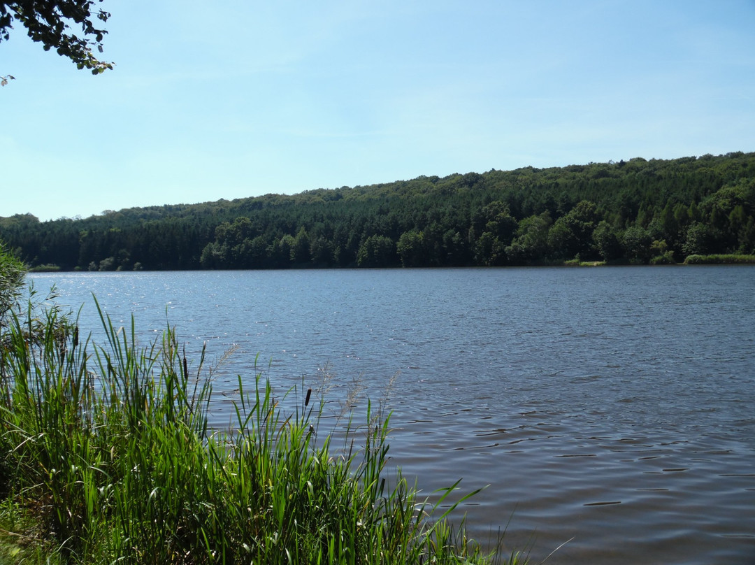 Lake Hársas景点图片