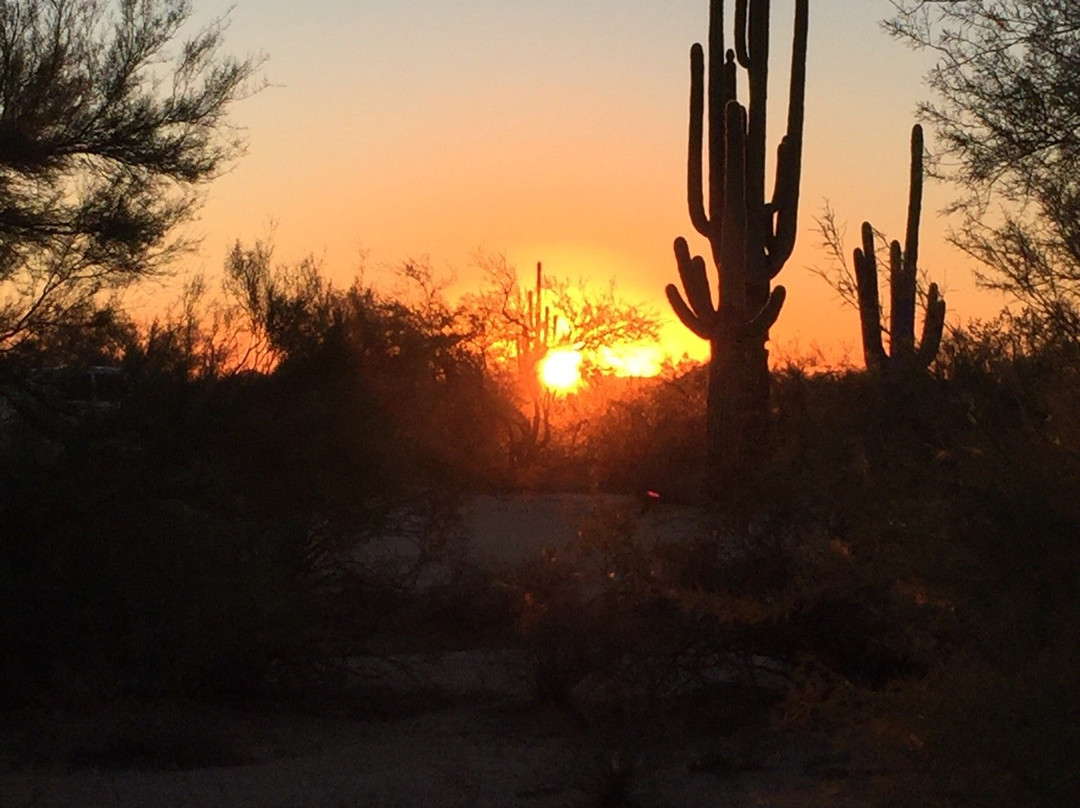 Arizona's Desert Events-斯科茨代尔必去景点