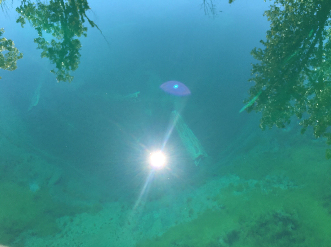 Castalia State Fish Hatchery-Castalia必去景点