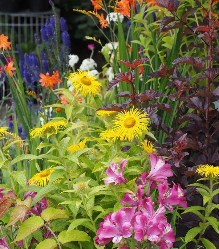 Hardy's Cottage Garden Plants景点图片